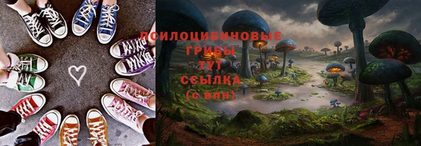 прущая мука Елабуга