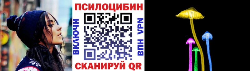 как найти закладки  Моздок  Галлюциногенные грибы Magic Shrooms 