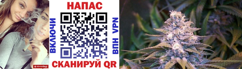 где купить наркоту  Моздок  Бошки марихуана LSD WEED 